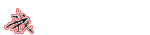 用Skype开发客户的技巧总结