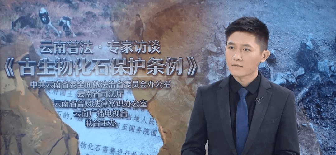 【播出预告】周末上山挖化石玩？注意，这样做有可能违法……