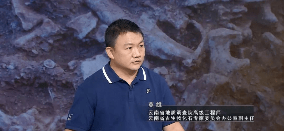 【播出预告】周末上山挖化石玩？注意，这样做有可能违法……