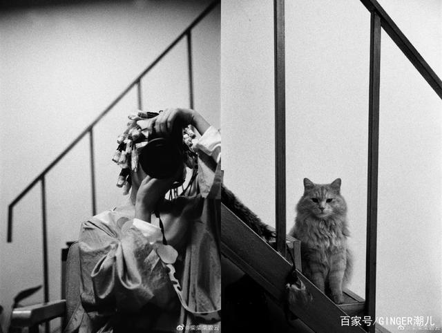 GINGER GIRL｜柴碧云 有点倔强，有点甜