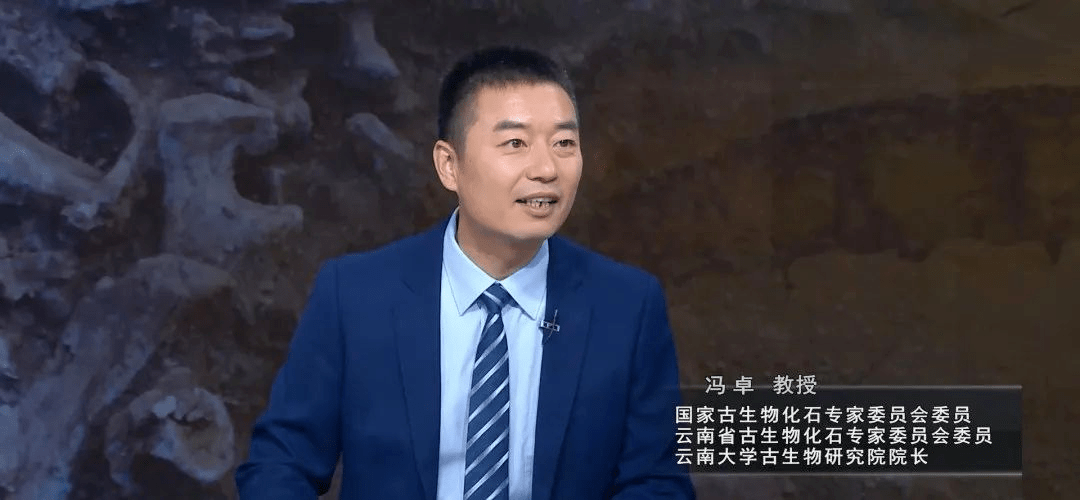 【播出预告】周末上山挖化石玩？注意，这样做有可能违法……