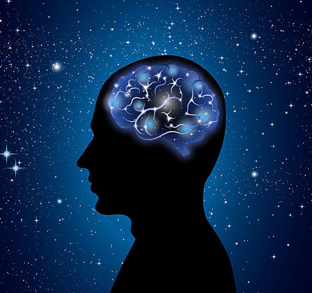 “科学（science）”的意思