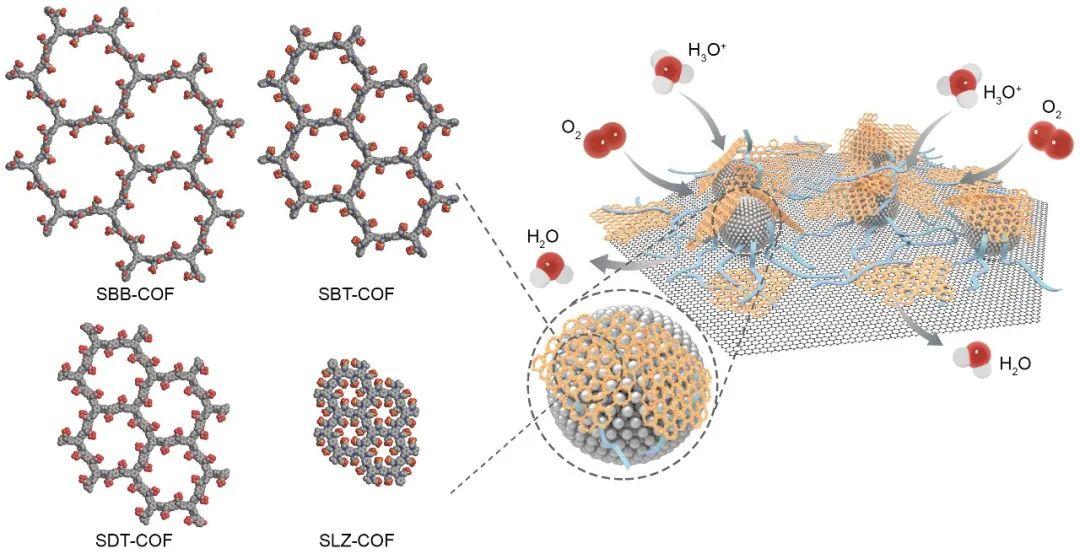 北京理工大学最新《Science》
