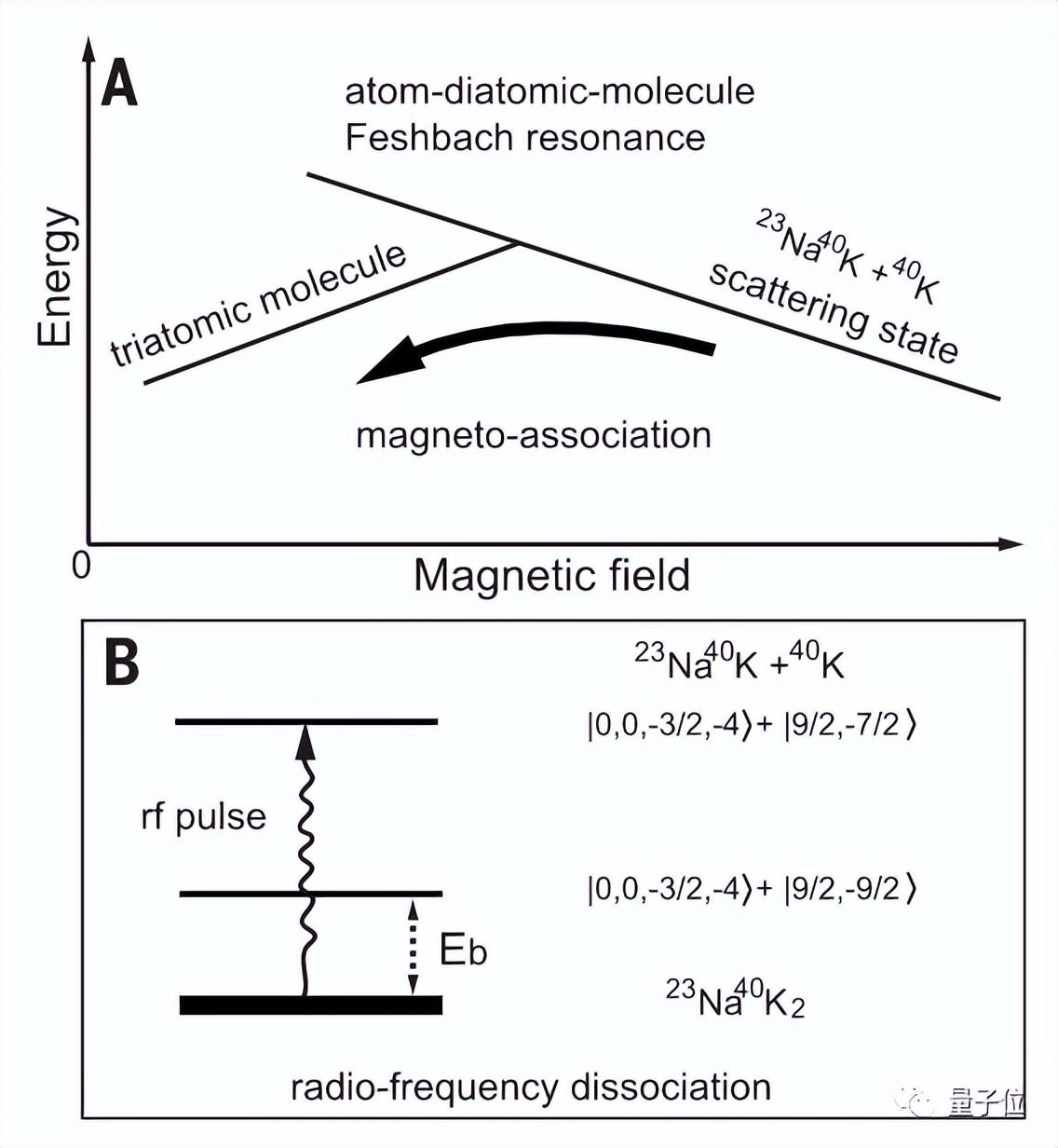 潘建伟团队新成果登Science，被称“超冷分子领域里程碑”
