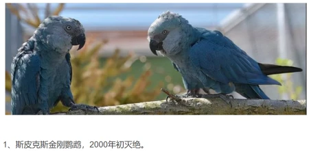 节日档案｜5.22国际生物多样性日——以档之名，留住你