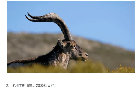 节日档案｜5.22国际生物多样性日——以档之名，留住你