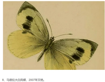 节日档案｜5.22国际生物多样性日——以档之名，留住你