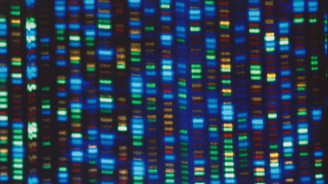 《科学》杂志：史上最完整人类基因组测序出炉