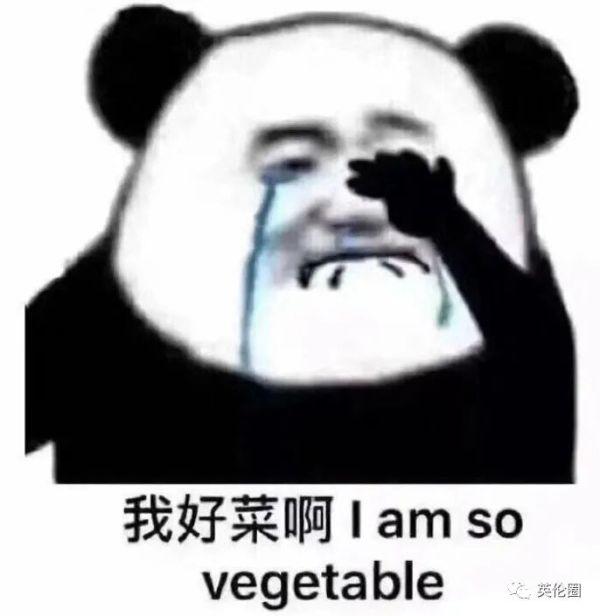 全世界被疫情折磨，我的教授：请在你死前把论文交上