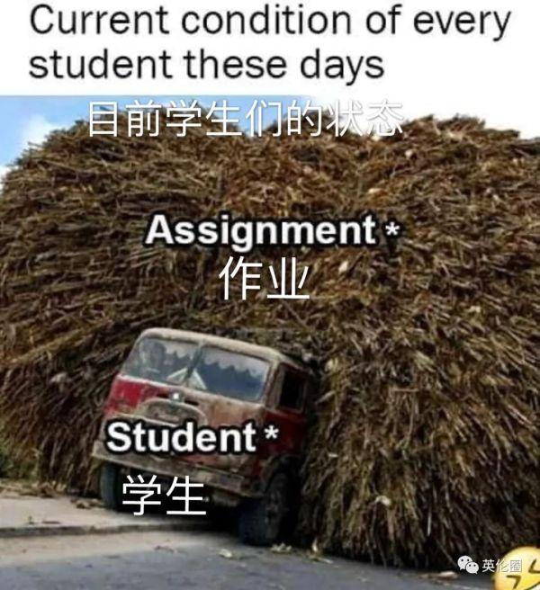 全世界被疫情折磨，我的教授：请在你死前把论文交上
