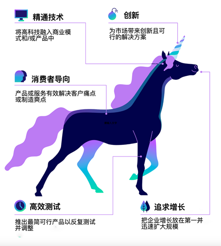 创业公司的两种战略选择：独角兽的闪电战和骆驼的持久战