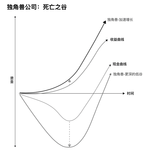 创业公司的两种战略选择：独角兽的闪电战和骆驼的持久战