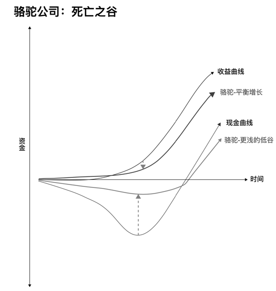 创业公司的两种战略选择：独角兽的闪电战和骆驼的持久战
