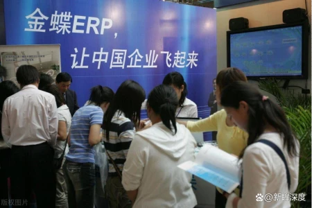 中国软件三十年：秩序的瓦解与重建