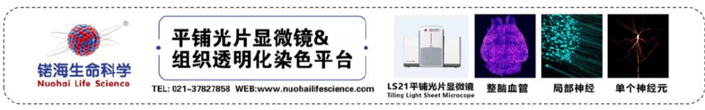 【脑科学日报】第1585期 | 20221212 星期一