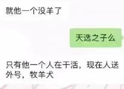 “同事全阳了，天选打工人被迫成了顶梁柱”