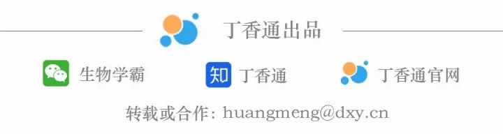 原来，EndNote 离开了 word 更强大......