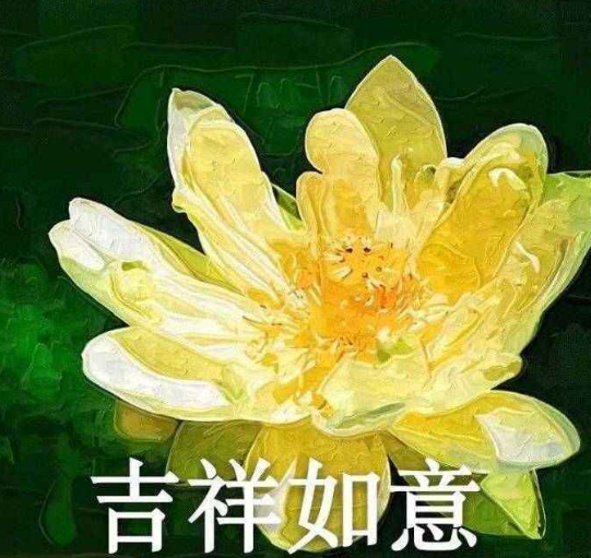 GINGER PICK | 大家好，我来装“笔”了