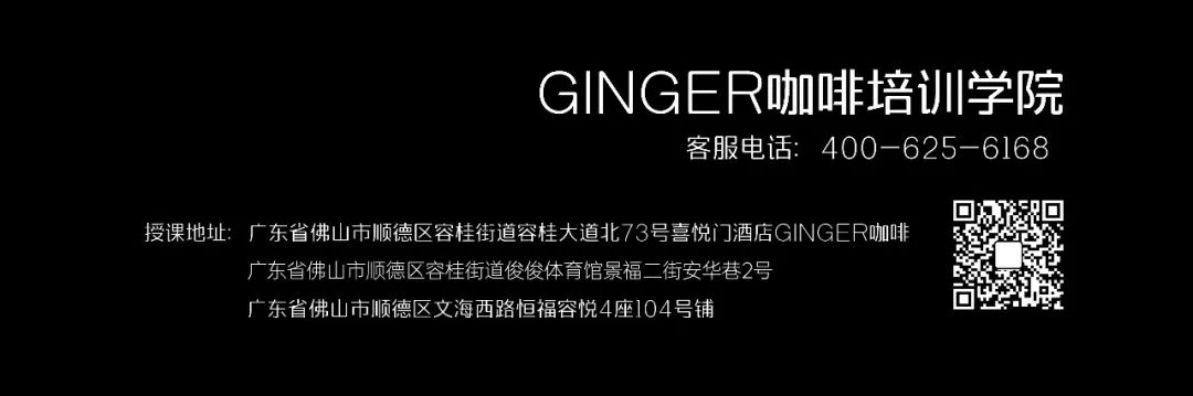 GINGER丨咖啡认证课程