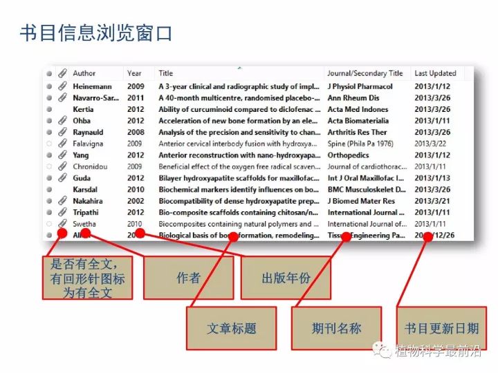 Endnote的使用方法（史上最详细）