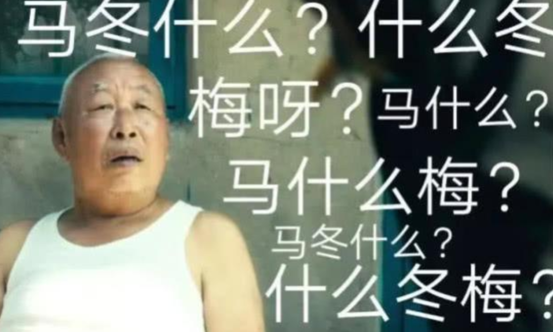 我哥大本科，GPA3.8，找代写买了一篇论文后…