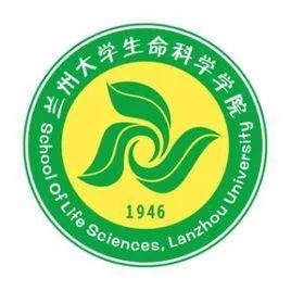 【干货推荐】ReadCube——你可能没听说过的小众文献管理软件