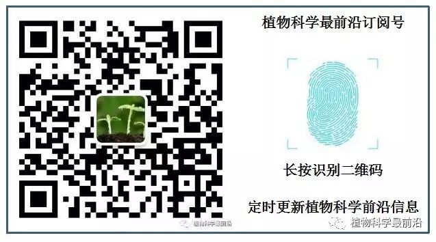 免费好用的文献管理软件送给你—Mendeley