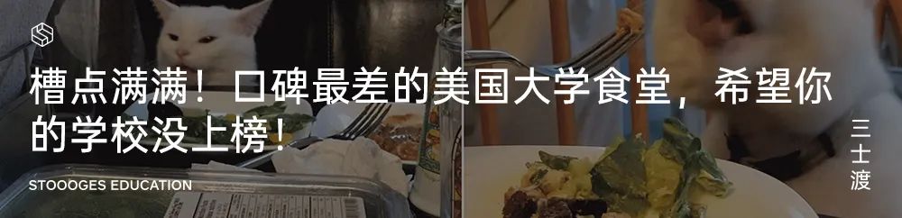 极限赶Due不用愁，这些宝藏网站带你高分保命！