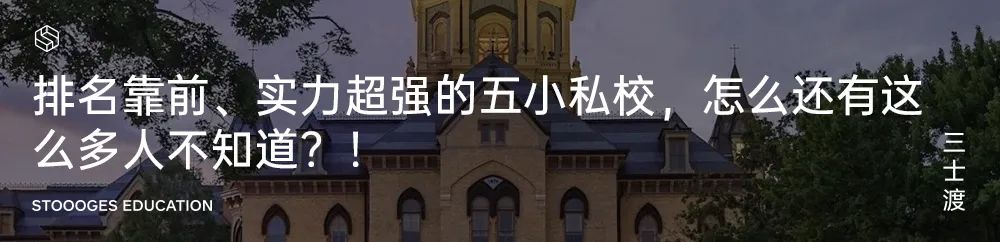 极限赶Due不用愁，这些宝藏网站带你高分保命！