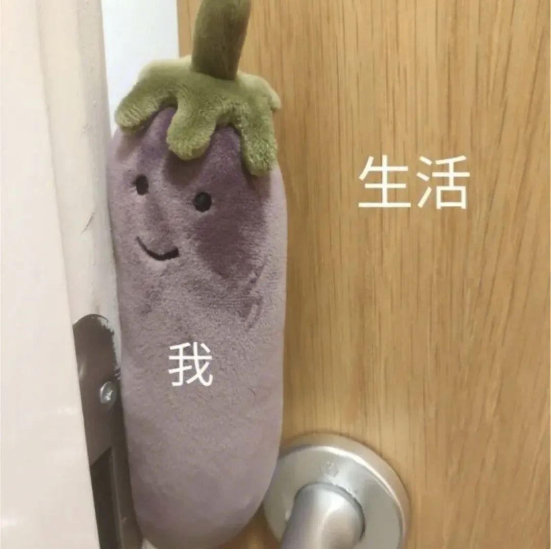 澳洲留学生肝论文的10个最强辅助！同义词/数据库/语法检查/翻译软件/Ref List…一文攻略！