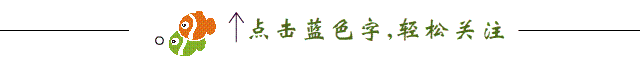 “停课不停学”——青岛五十八中国际部“空中课堂”纪实