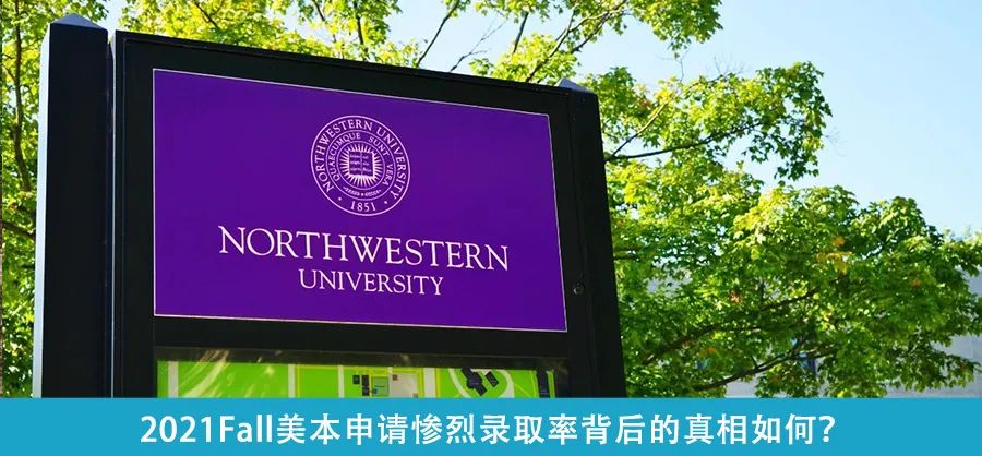 速收藏！康奈尔学姐教你学AP/A-level/IB，UCLA学姐邀你组队学习！
