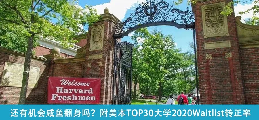 速收藏！康奈尔学姐教你学AP/A-level/IB，UCLA学姐邀你组队学习！