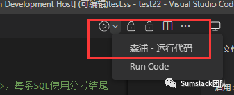 基于VSCode的数据开发平台的设计与实现
