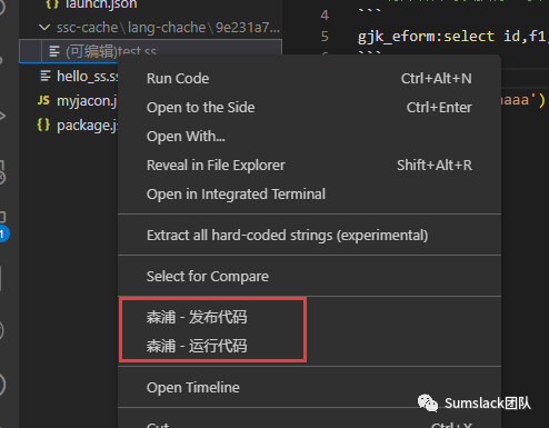 基于VSCode的数据开发平台的设计与实现