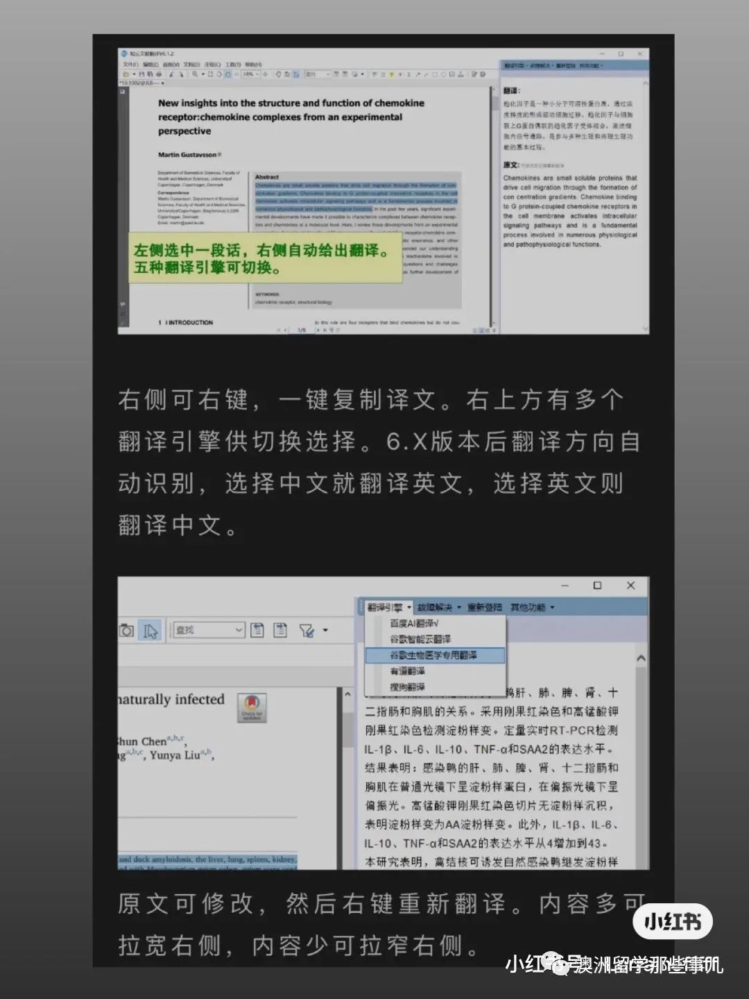 【留学生活】Final来袭，如何又快又好地写完论文？留学生一定要收藏这些免费写论文网站！