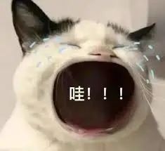 任何重大研究生不看这篇『科研干货』，我都会伤心的，ok？