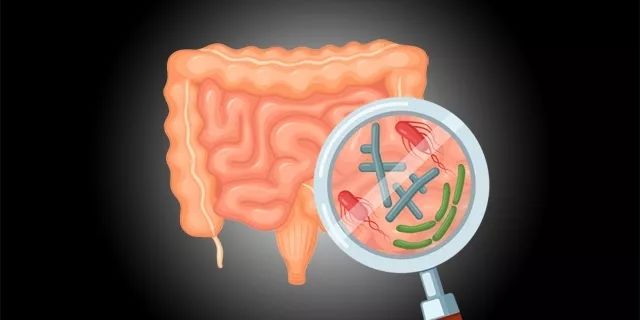 Sicence观点：慢性疾病能经菌群“传染”吗？| 热心肠日报