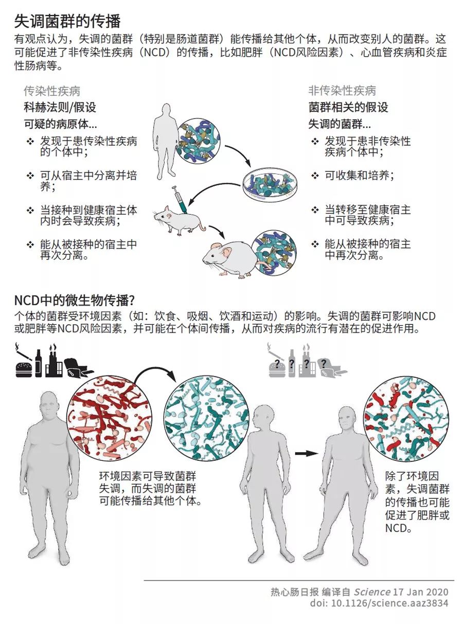Sicence观点：慢性疾病能经菌群“传染”吗？| 热心肠日报