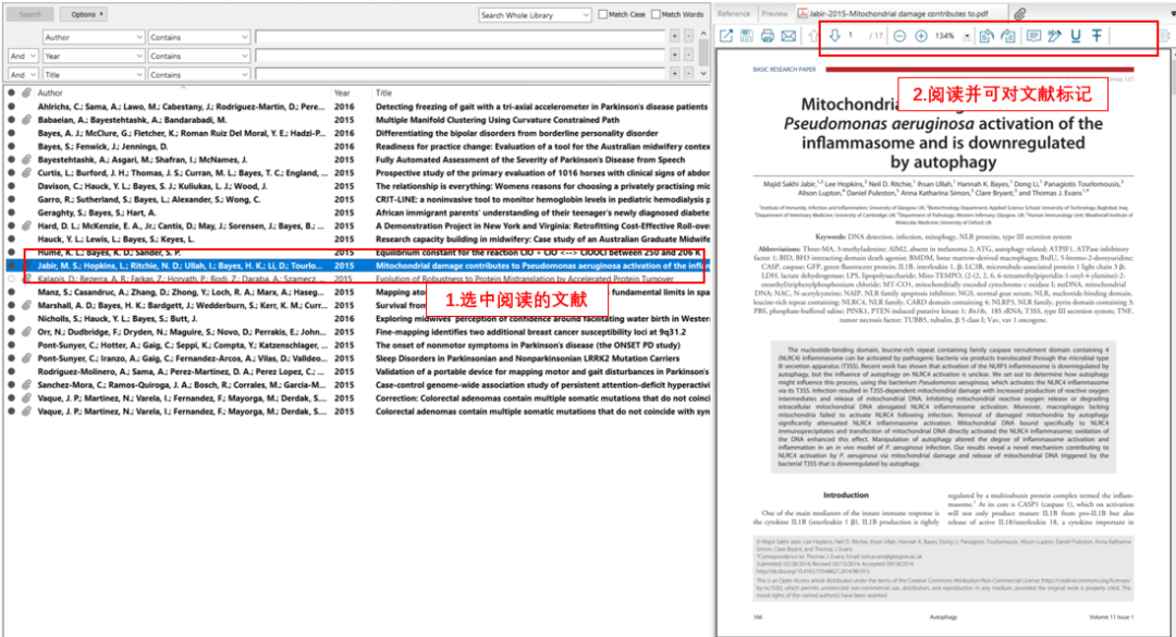 EndNote 教程