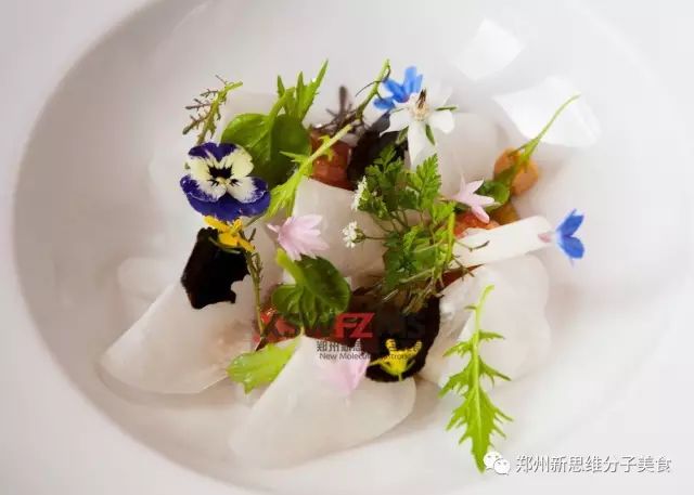 先锋美食的现代意大利烹饪情怀Piazza DuomoNO:17