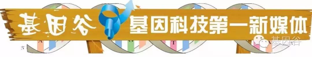 新疆医大一附院马依彤等Sicence杂志刊文称，哈萨克族有一个基因突变，可让其吃较多牛羊肉，但血脂较低
