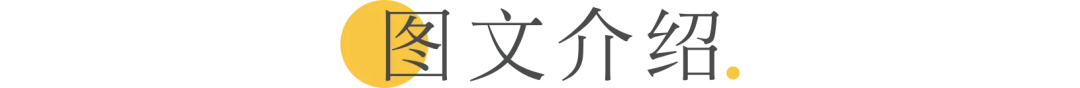 DeepL Pro最新无限制版，终于找来了。