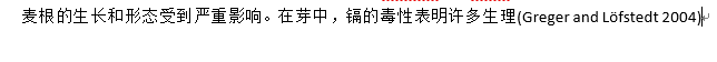 Mendeley(一)自动生成参考文献