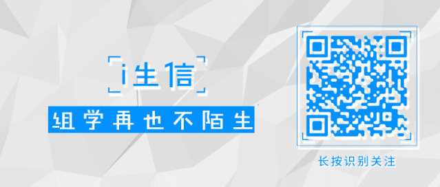 Deepl ：一款近来国外大火的翻译工具，好用到爆！！