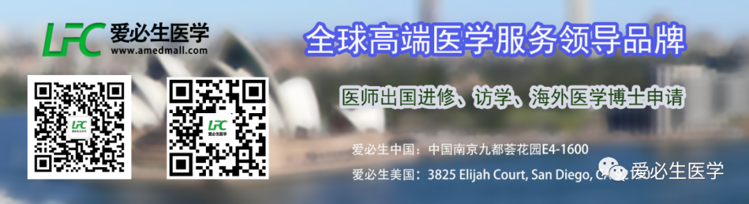 语法检查：为国际学生提供的 5 个免费在线工具