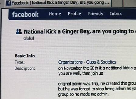 话说，"Ginger"这个颜色究竟是怎样的一个存在？