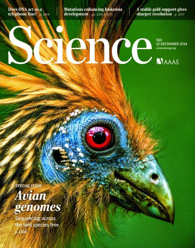 华大集团历史上的今天 | Science鸟类专刊发表八周年