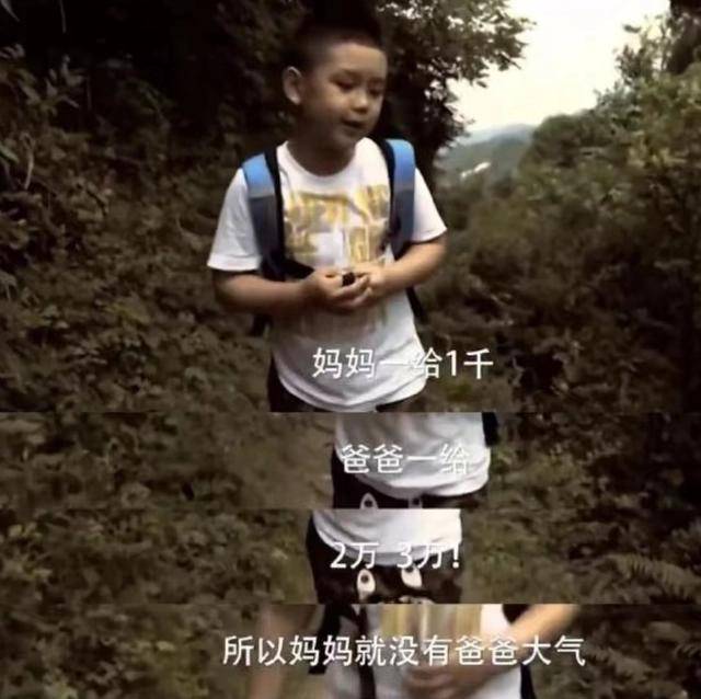 王艳老公被抓？卖11亿豪宅实为救夫，“晴格格”要成下一个刘涛？
