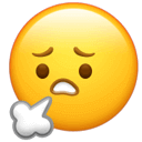 谷爱凌期末赶due的样子，像极了出国后的我自己...
